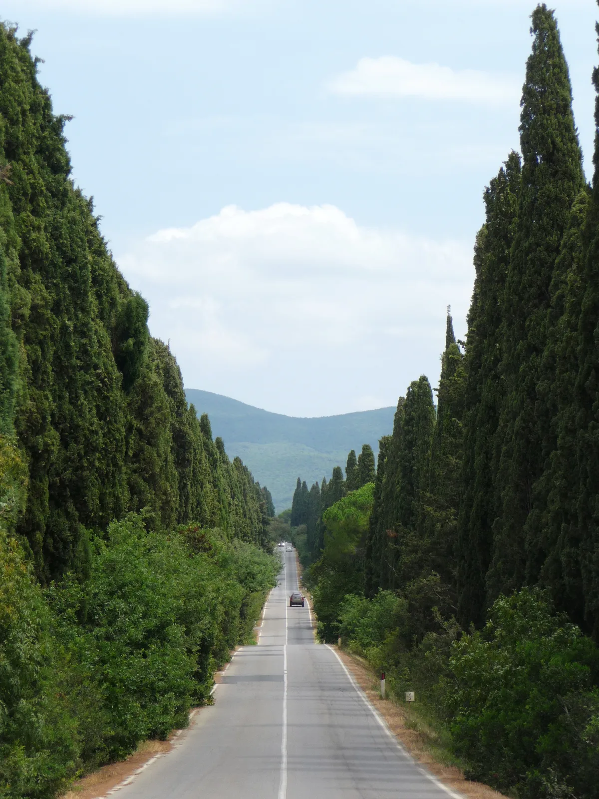Il viale dei cipressi di Bolgheri, un lungo rettilineo tra due filari di cipressi