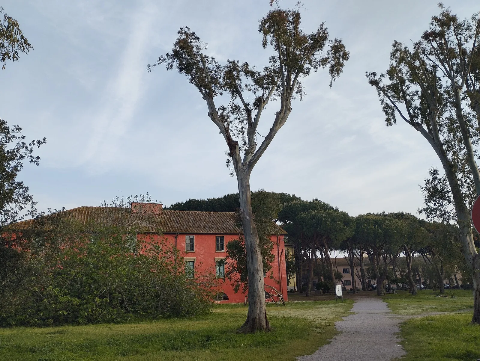 Il parco dell’ex Ilva di Follonica con i pini e l’edificio rosso del museo MAGMA