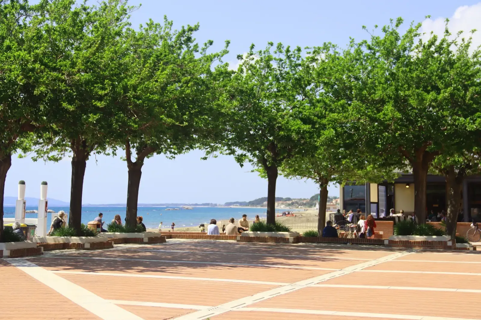 Panchine all’ombra degli alberi sul lungomare di Follonica davanti al mare