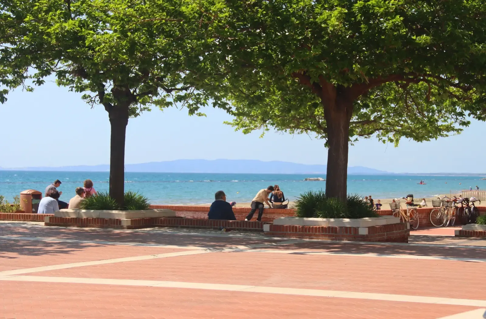 Il lungomare di Follonica con gli alberi e la spiaggia