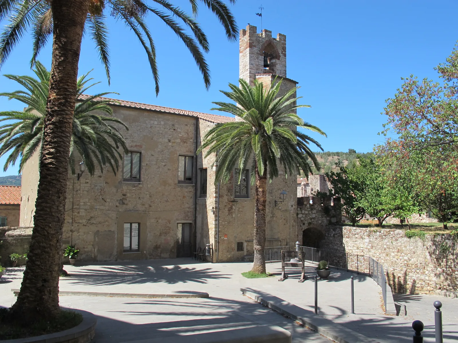 Il palazzo comunale di Suvereto con la torre merlata e le palme nella piazza